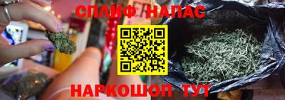 мдпв Гагарин