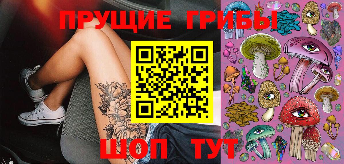 Мирный  Галлюциногенные грибы Magic Shrooms  как найти закладки  Вход с VPN 