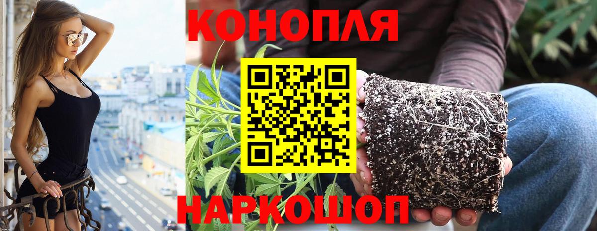 Шишки марихуана White Widow Мирный